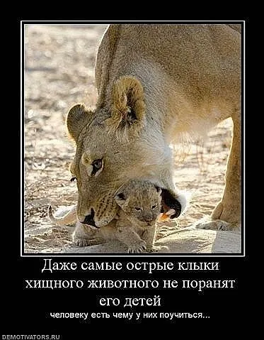 Славянские Демотиваторы Часть 5