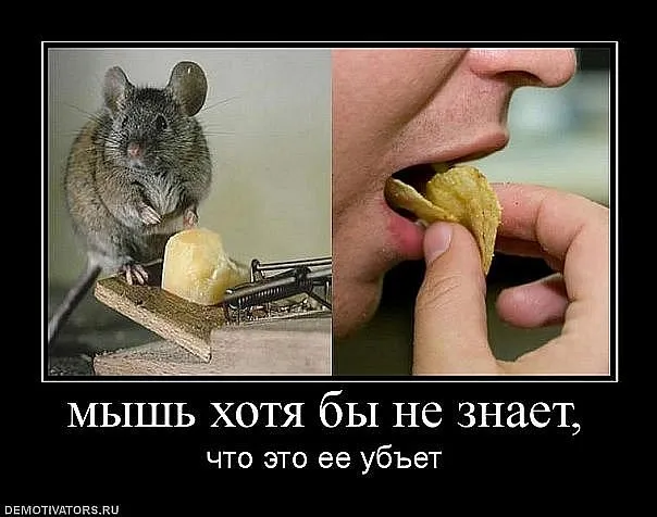 Славянские Демотиваторы Часть 5