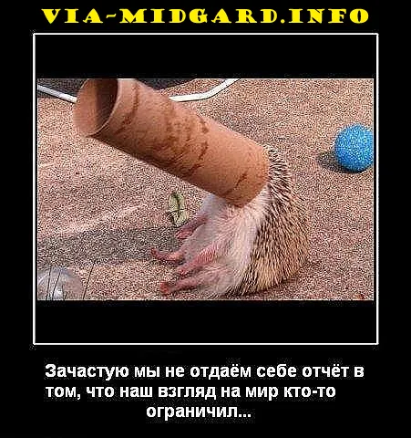 Славянские Демотиваторы Часть 5