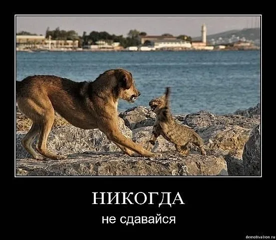 Славянские Демотиваторы Часть 5