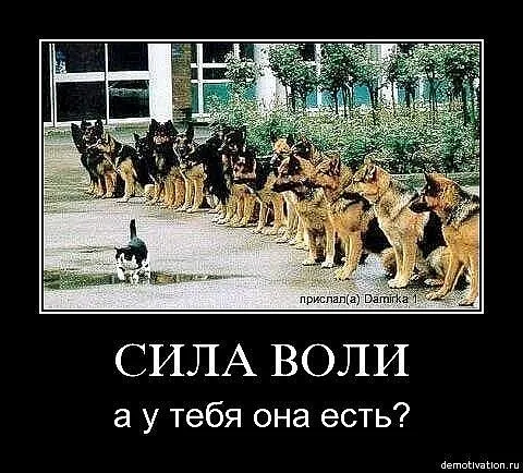 Славянские Демотиваторы Часть 5
