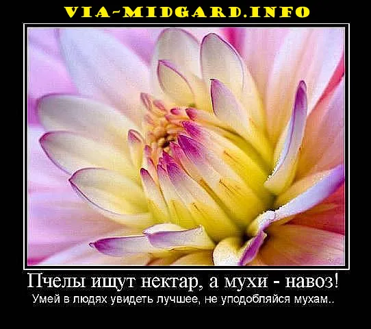 Славянские Демотиваторы Часть 5
