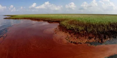 Американская Экологическая