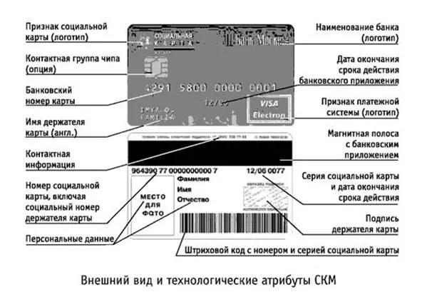 Социальная карта биообъекта Социальная карта биообъекта