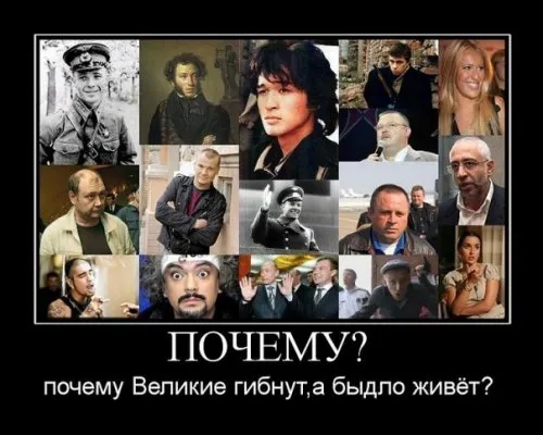Славянские Демотиваторы Часть 11