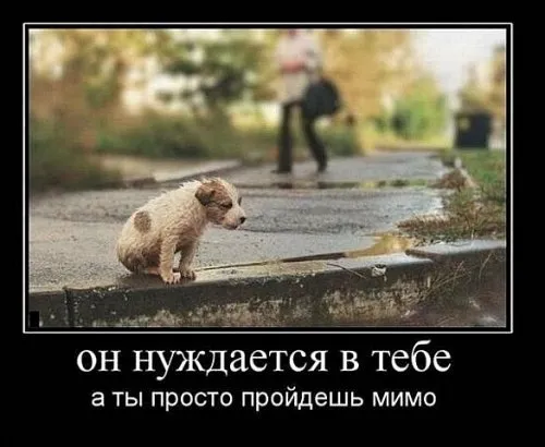 Славянские Демотиваторы Часть 11