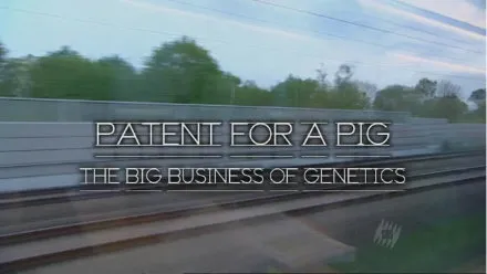 Монсанто - Патент на свиней / Monsanto - Patent For a Pig Монсанто - Патент на свиней / Monsanto - Patent For a Pig