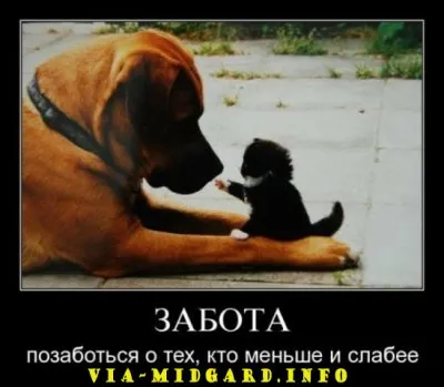 Славянские Демотиваторы Часть 12