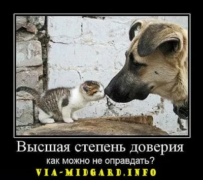 Славянские Демотиваторы Часть 12