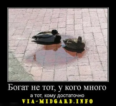 Славянские Демотиваторы Часть 12