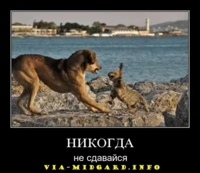 Славянские Демотиваторы Часть 12