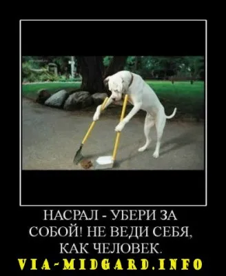 Славянские Демотиваторы Часть 12