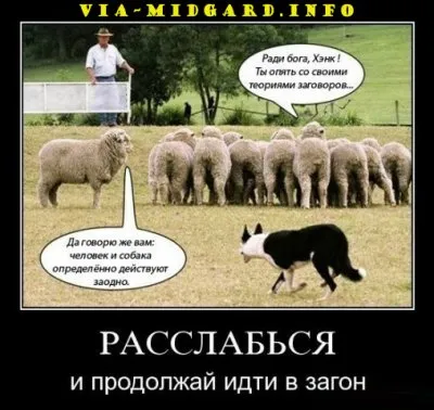 Славянские Демотиваторы Часть 12