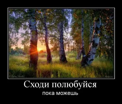 Славянские Демотиваторы Часть 13