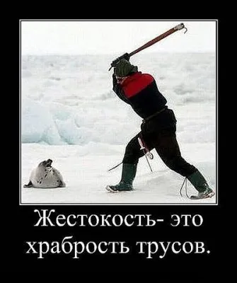 Славянские Демотиваторы Часть 13