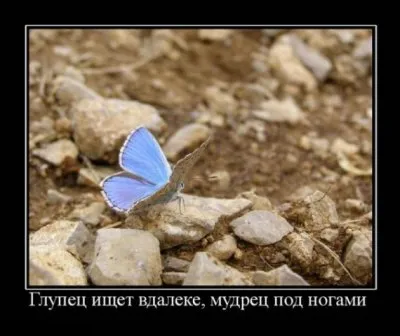 Славянские Демотиваторы Часть 13