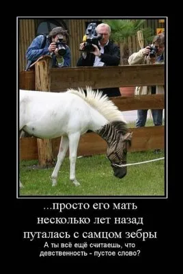 Славянские Демотиваторы Часть 13