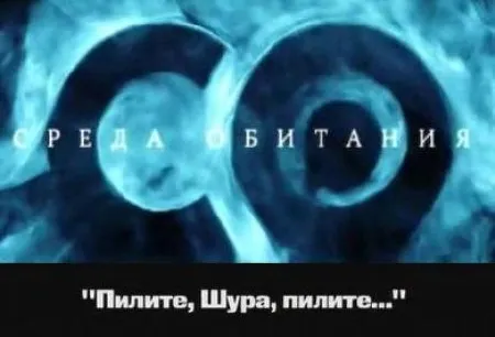 Среда обитания. Пилите, Шура, пилите... (2011) SATRip
