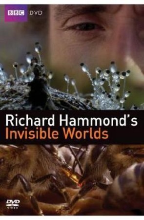 BBC:  .   / Invisible Worlds. Off the Scale (2010) HDTVRip [ 3 ]