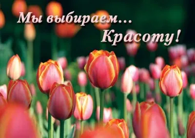 Пропаганда левашовцев