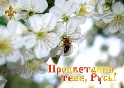 Пропаганда левашовцев