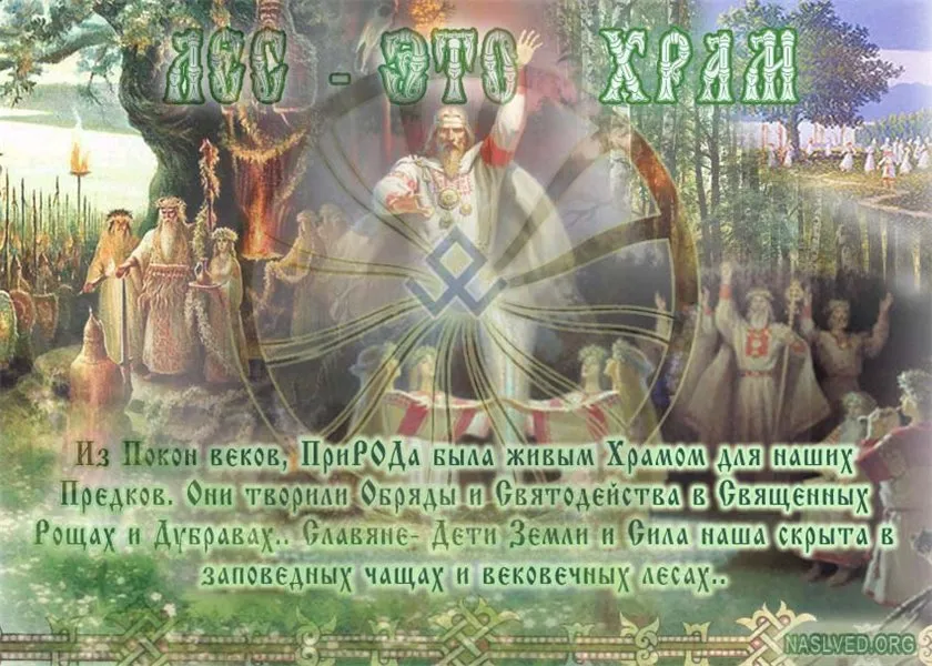 Природолюбие. Лес- это Храм. Живые Веды Земли