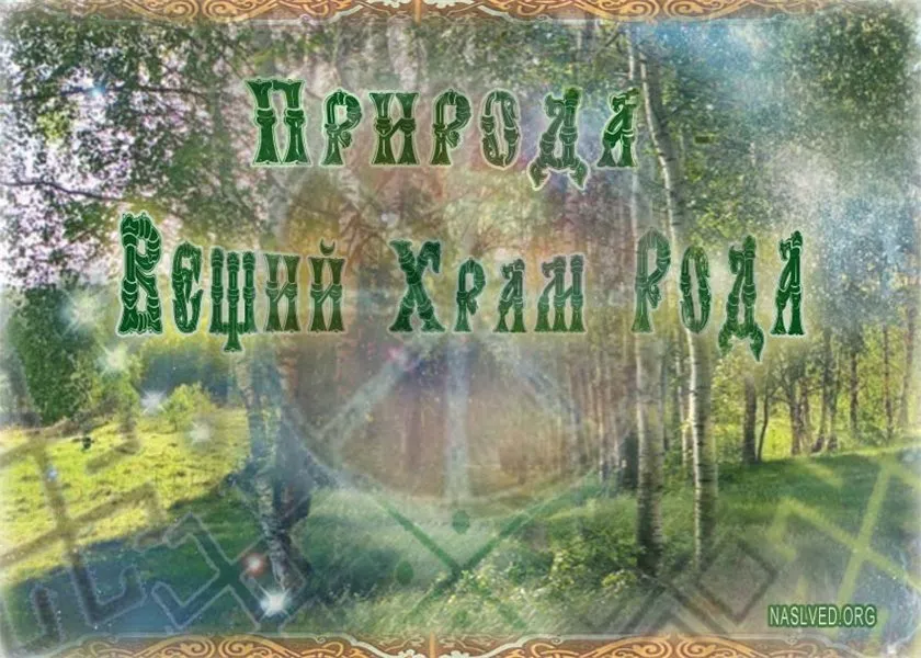 Природолюбие. Лес- это Храм. Живые Веды Земли