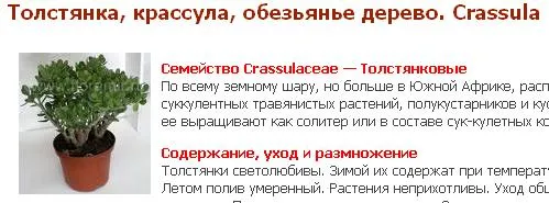 Учимся думать сами или кто объявил войну Левашову. Часть 3
