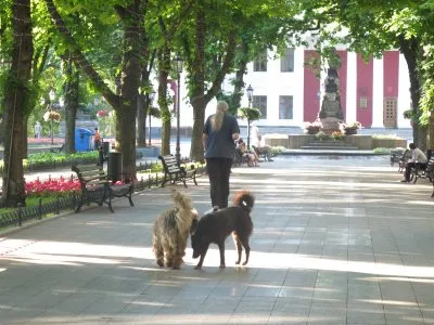 Патер Дий Александр (Коловрат) в Одессе