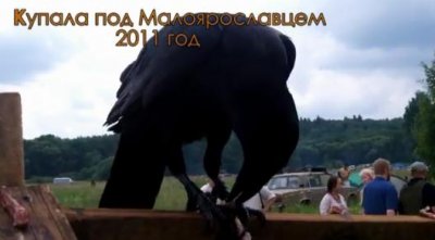    2011 ,