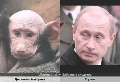 ПОЛИТИЧЕСКАЯ  «ИРОНИЯ ЛЮБВИ»  РОССИИ  И  КАЗАХСТАНА 