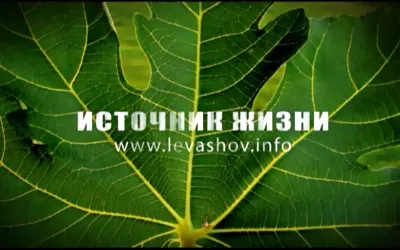 Источник Жизни. Часть 10. Вперёд в будущее (2010-2011 г.)