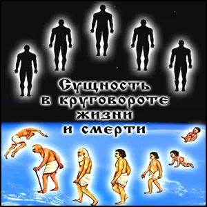 Сущность в круговороте жизни и смерти Сущность в круговороте жизни и смерти