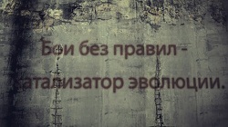 Бои без правил - катализатор эволюции (HD) Бои без правил - катализатор эволюции (HD)