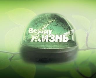 Магические ритуалы содай Магические ритуалы содай