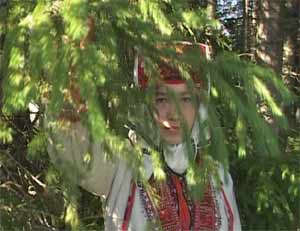 Фильм «Угол старых брёвен» Фильм «Угол старых брёвен»