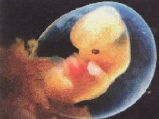 Наука и церковь — вечное противостояние Наука и церковь — вечное противостояние