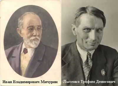 Сталин — Ведун?