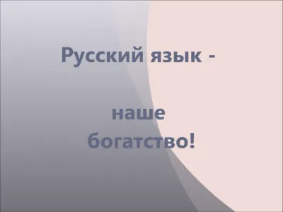 В.А.Чудинов. Почему в школе не любят русский язык
