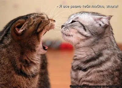 А умеем ли мы прощать?