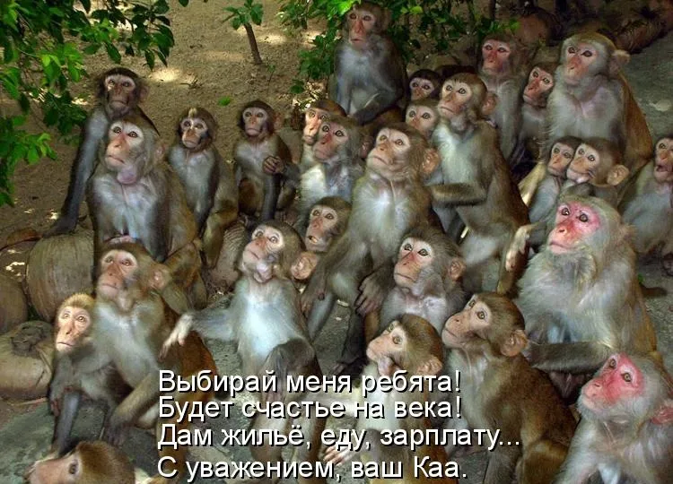 Россия без Путина? Апокалипсис уже сегодня!