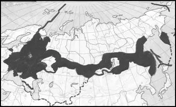 В.Башлачёв. ПРАВДА ЖИЗНИ в зеркале русской демографии 2011 год В.Башлачёв. ПРАВДА ЖИЗНИ в зеркале русской демографии 2011 год