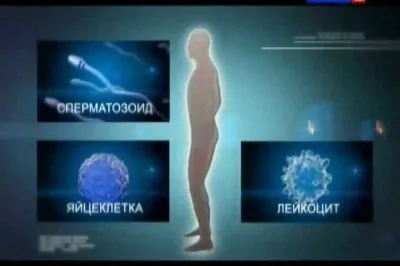 Наука 2.0. Человеческий фактор. Радиоактивность (2011) SATRip