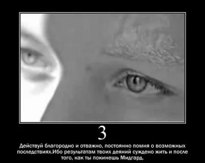 14 Законов Арийской этики