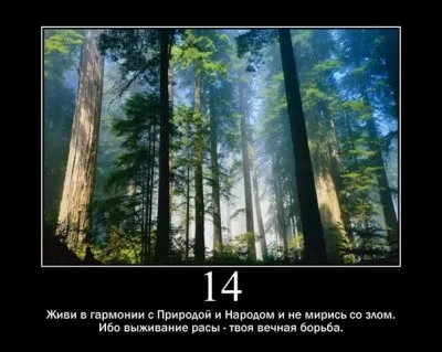 14 Законов Арийской этики