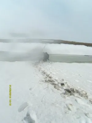 Путешествие к древним сущностям