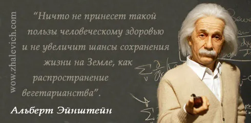 21 миф о вегетарианстве 21 миф о вегетарианстве