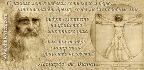 21 миф о вегетарианстве 21 миф о вегетарианстве