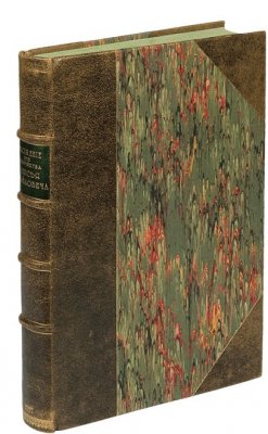              [7156   ]