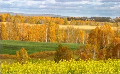 Продажа Сибири? Буднично. Путин… ВТО, НАТО, СКФО... - надо ЗНАТЬ!
